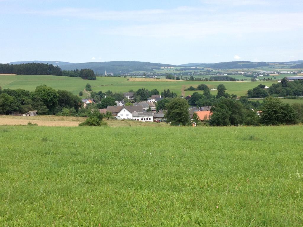 Vila Haus Panoramablick Medebach Exteriér fotografie