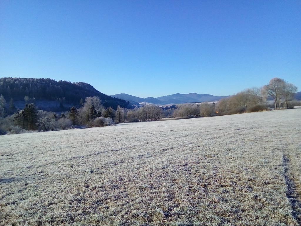Vila Haus Panoramablick Medebach Exteriér fotografie